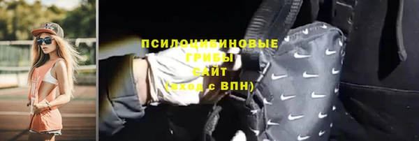 прущая мука Няндома