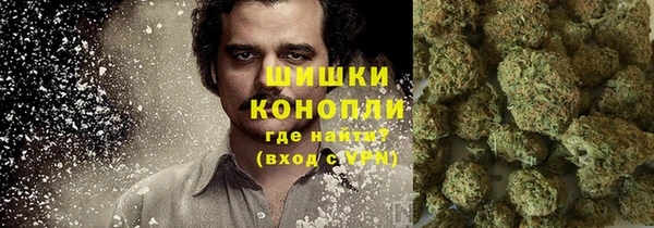 прущая мука Няндома