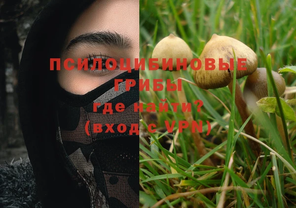 прущая мука Няндома