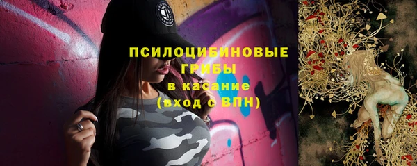 прущая мука Няндома