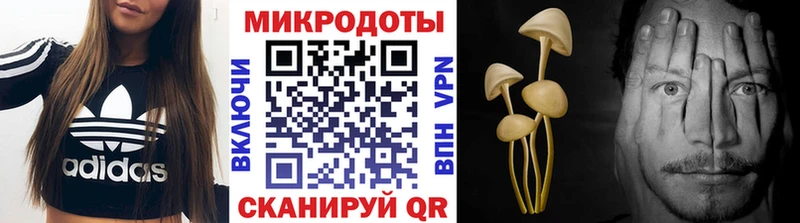 Псилоцибиновые грибы Cubensis  Чкаловск 